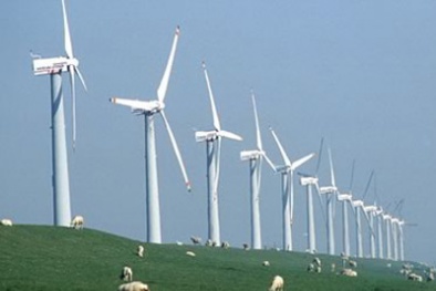 Dừng dự án điện gió Ninh Thuận